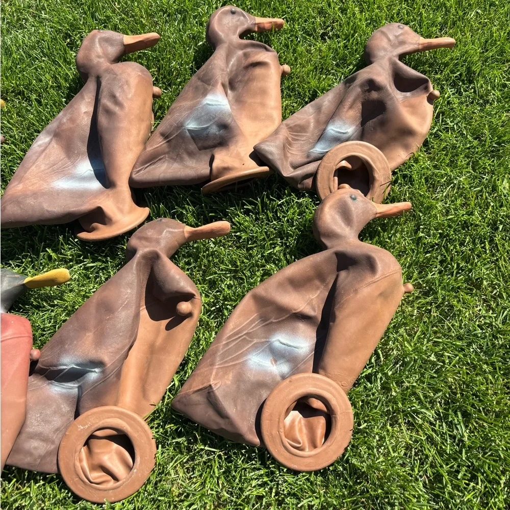 Vintage Duck Hunting Decoys Set - Picture 7 of 10